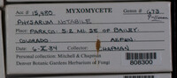 Image Associated With the Occurence